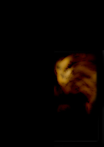 Something creeps...